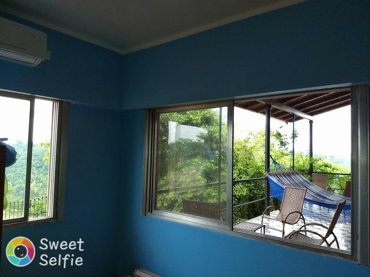Butterfly Hostel ปูแอร์โต อิกัวซู ภายนอก รูปภาพ