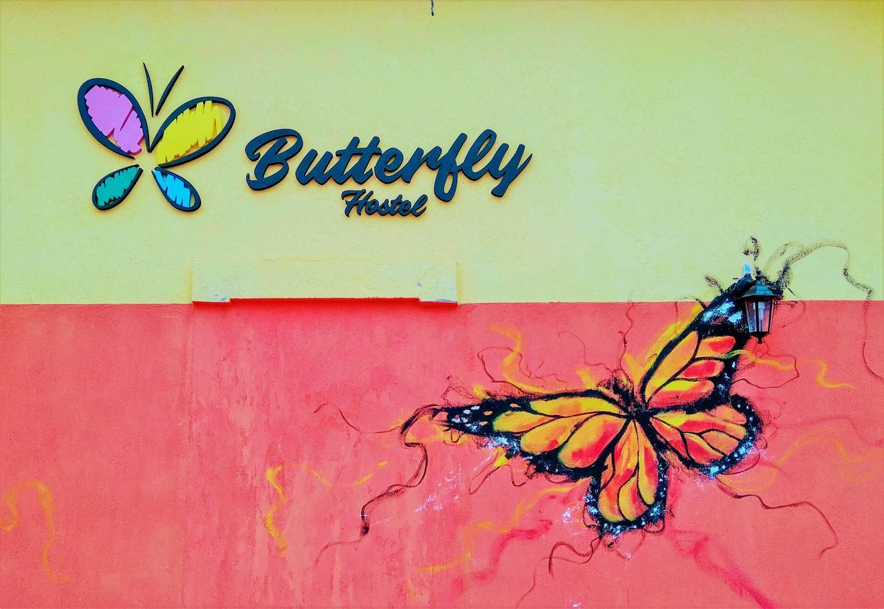 Butterfly Hostel ปูแอร์โต อิกัวซู ภายนอก รูปภาพ