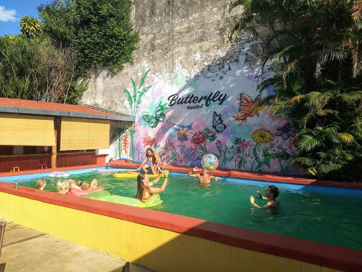 Butterfly Hostel ปูแอร์โต อิกัวซู ภายนอก รูปภาพ